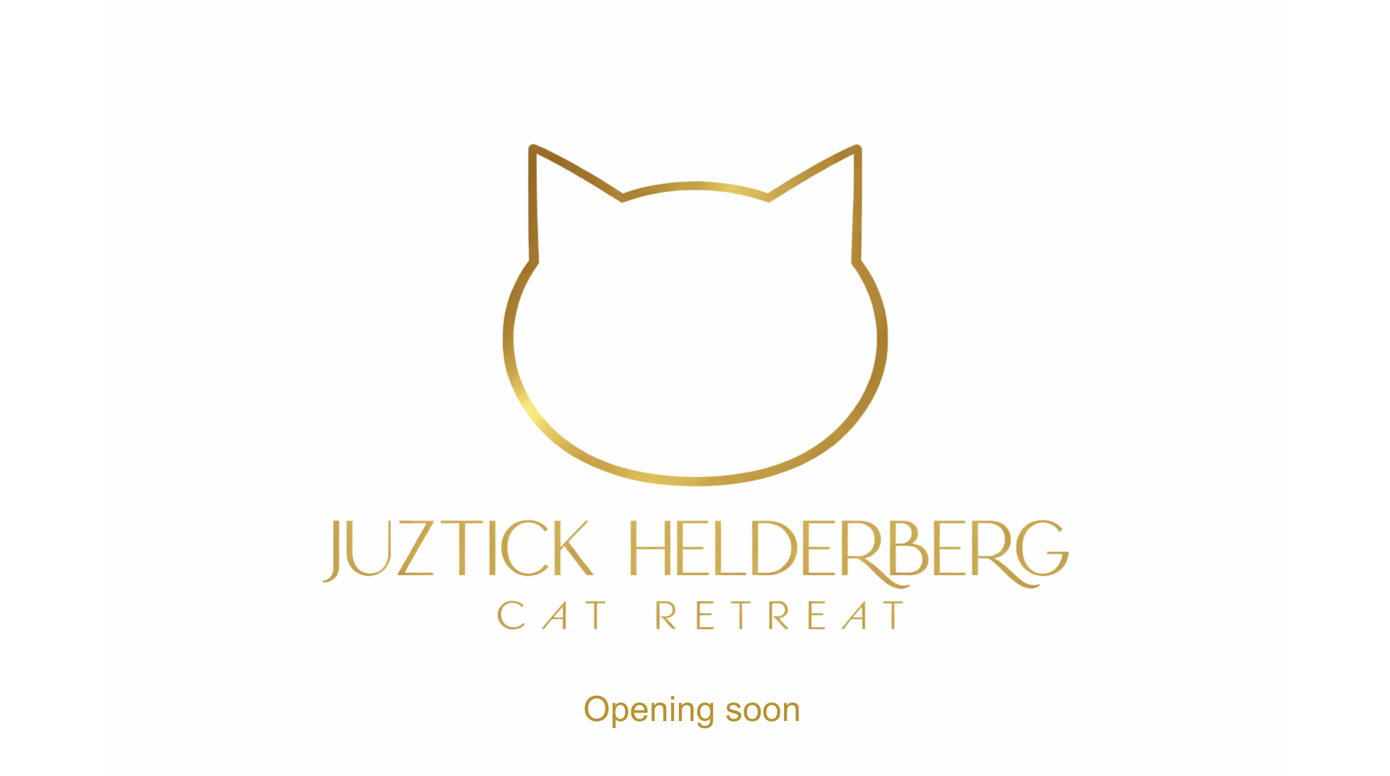 JUZTICK Marketing